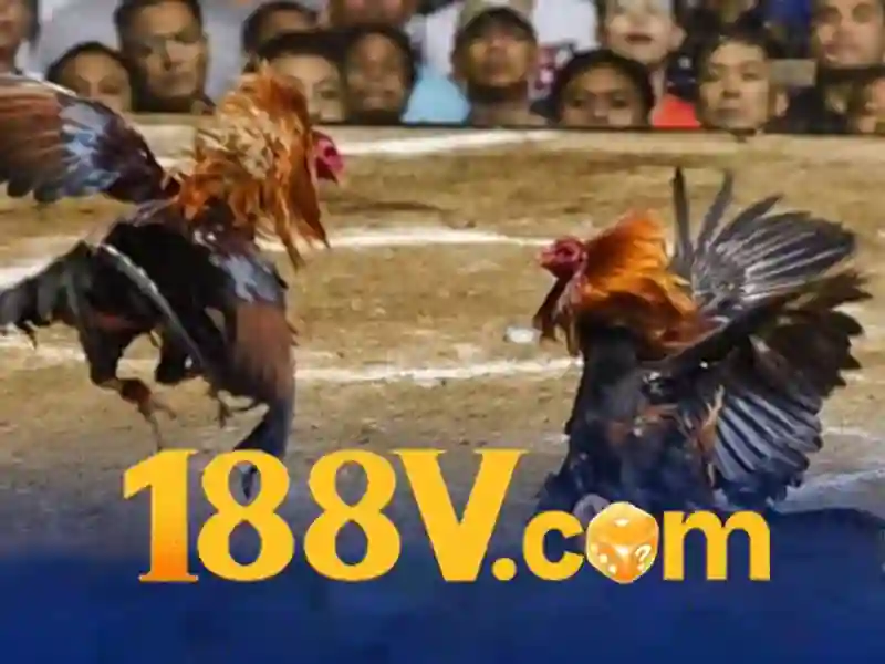 Khởi đầu với 188v