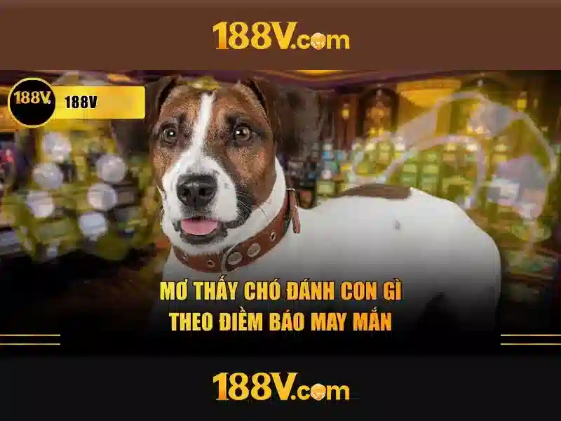 Giới thiệu về 188v