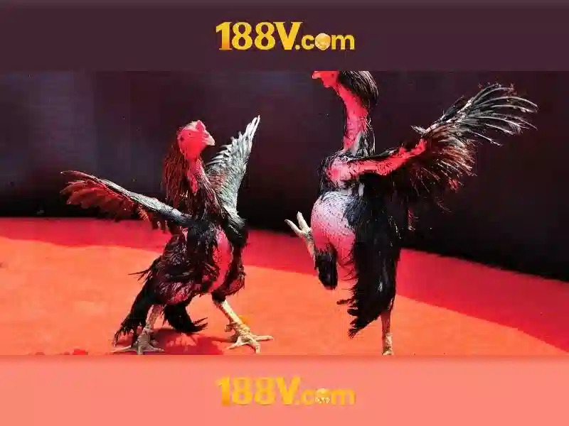 Phân tích biến động RTP