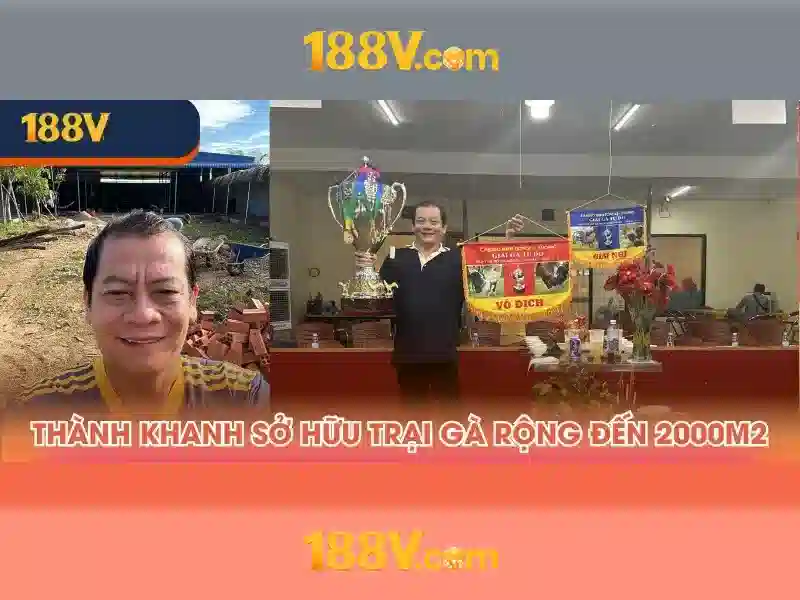 Ý nghĩa của hai chữ số and chữ v