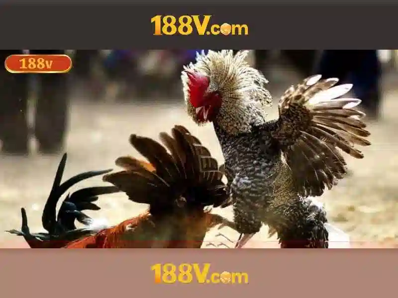 Ứng dụng và tương lai