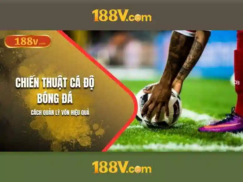 Download 188 Bet Mobile 1.0 APK for Android - Free and Safe Download