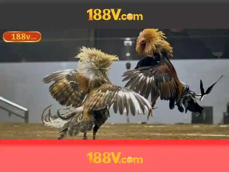 Những thách thức và giải pháp