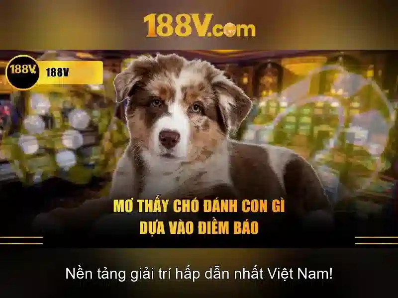 188v-thuong-va-cuoc
