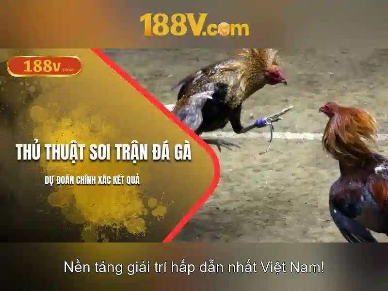 Ứng dụng của 188V trong đời sống
