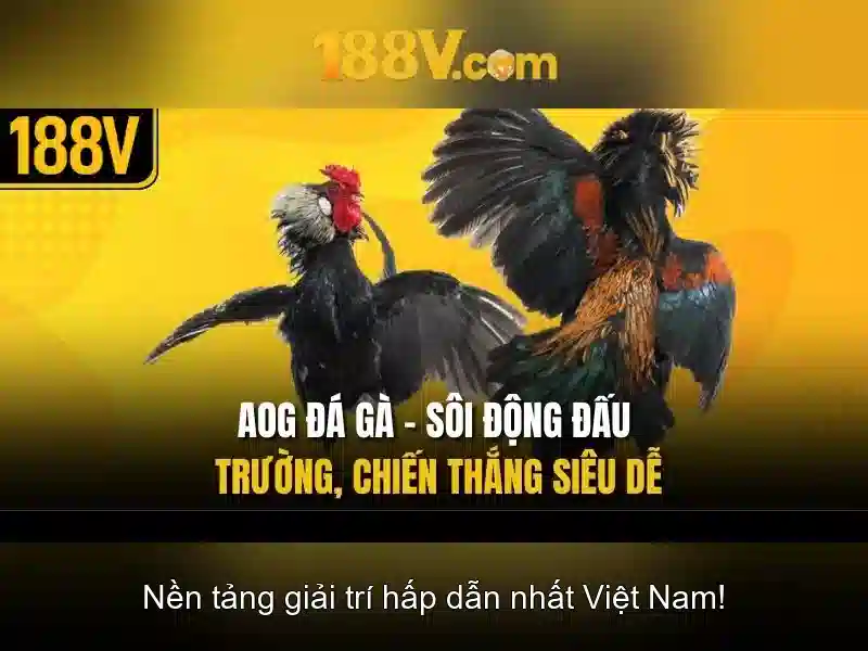 Khám phá nội dung và ứng dụng