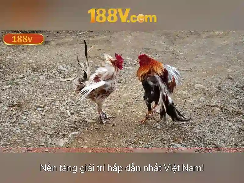 ui-support 