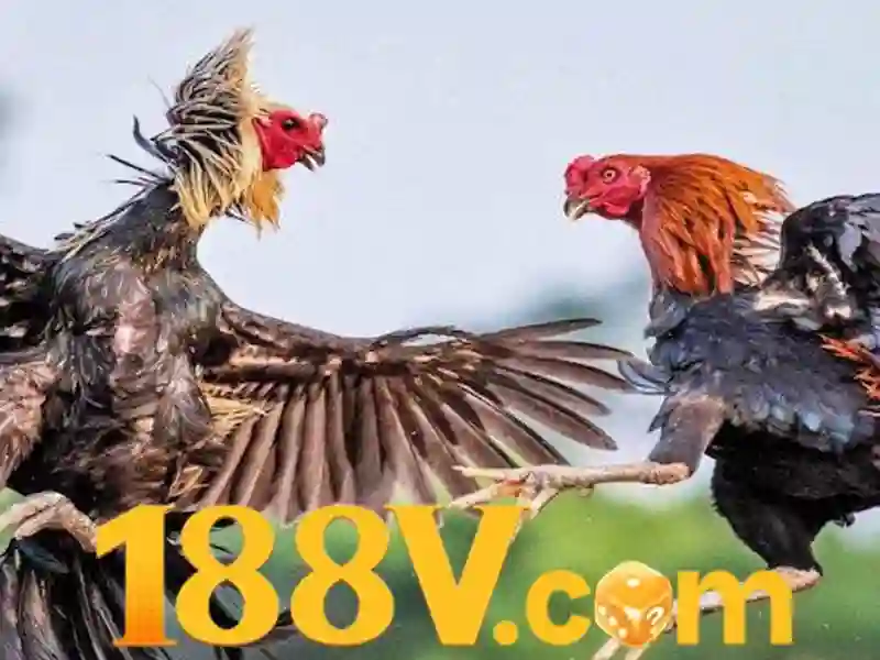 Khám phá 188v trong thế giới số hiện đại