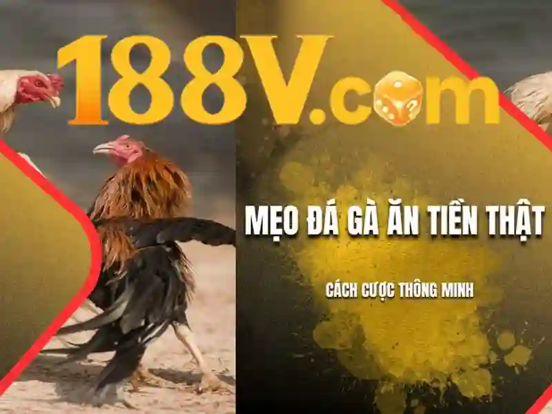 Khởi nguồn và ý nghĩa của 188v